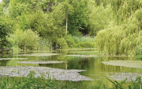 Hungerford Fishery