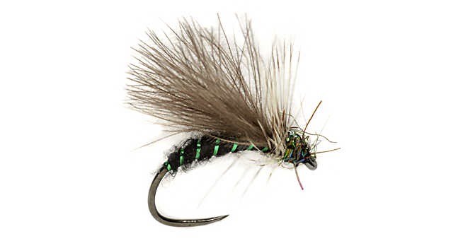 Paul Procter APT All Purpose Terrestrial dry fly with a CDC wing and green-ribbed black body