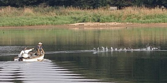 Pitsford Water