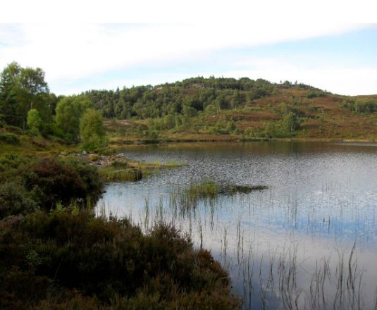 Tarvie Lochs