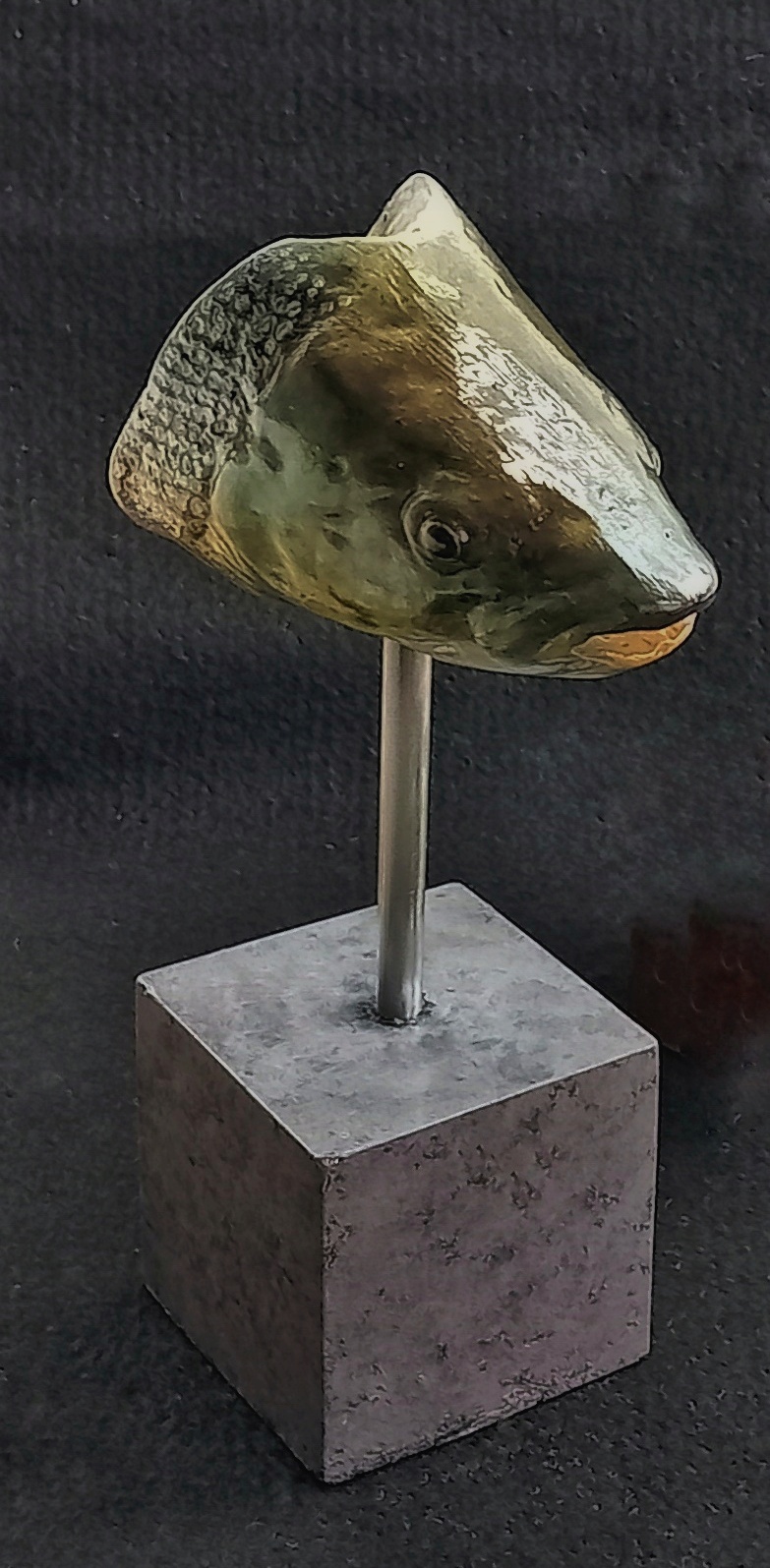 Fish Head Trophy