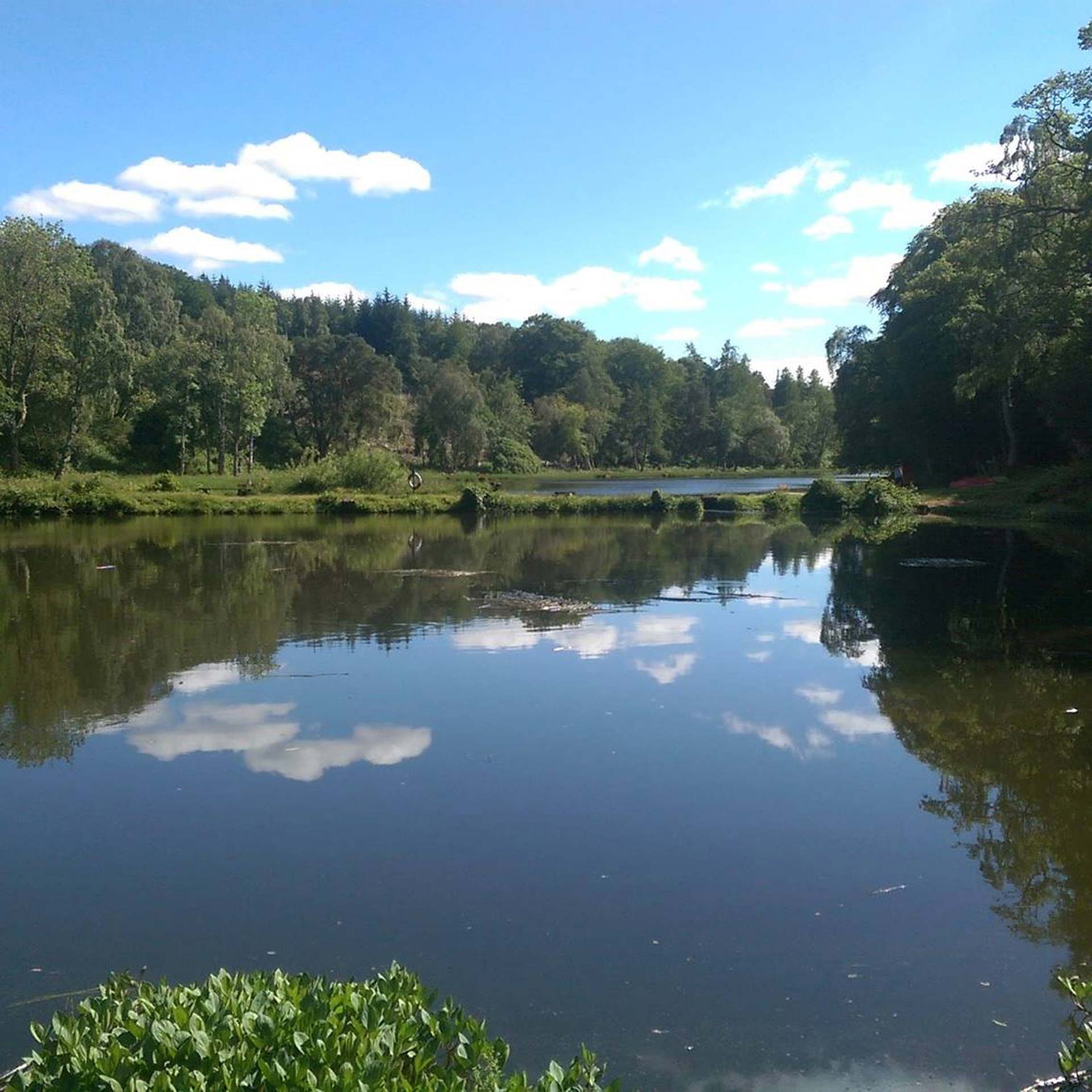 Geddes Trout Fishery