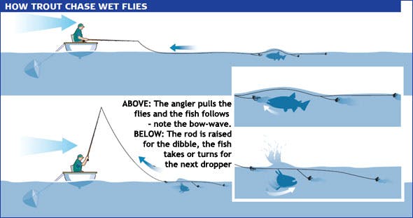 fish wet flies in the surface area