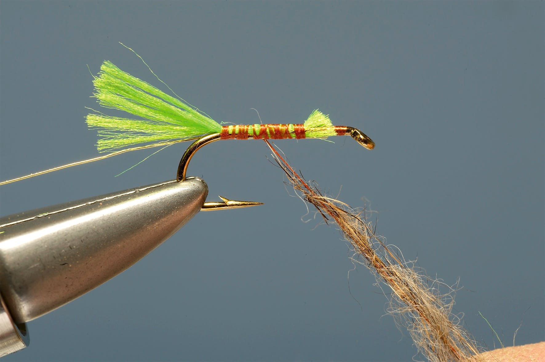 Lime-tailed-hares-ear step 4